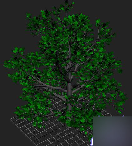 3DMAX打造真正的氣質美女 武林網 3DSMAX教程