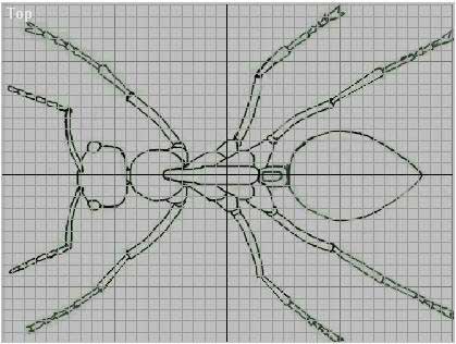 深入了解3DMAX建模技術--螞蟻實例（上）