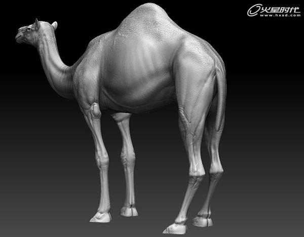 3DSMAX制作沙漠里的駱駝 武林網 3DSMAX建模教程