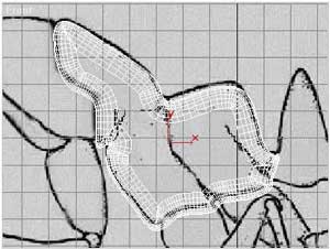 深入了解3DMAX建模技術--螞蟻實例（上）