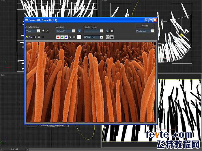 3dsmax毛發系統制作海葵 武林網 max渲染教程