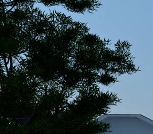 3DSMAX制作別墅夜景效果圖 武林網 3DSMAX室內設計教程