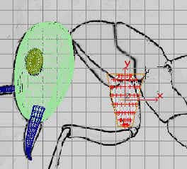深入了解3DMAX建模技術--螞蟻實例（下）