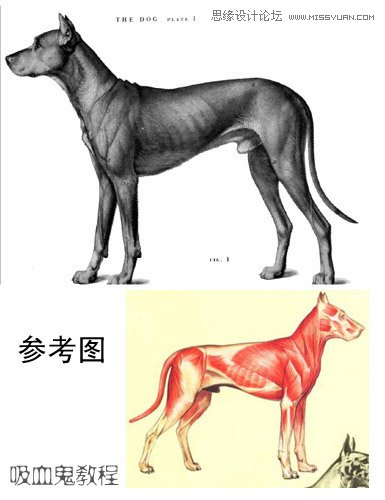 3ds MAX實例教程：多邊形建模小狗,破洛洛