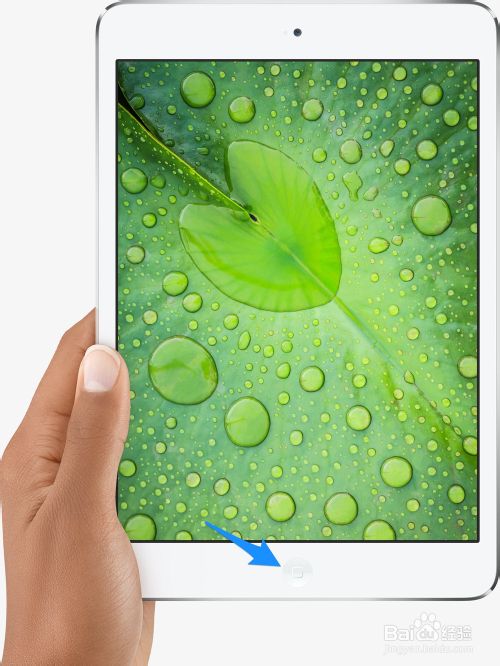 iPad mini2哪個鍵是退出和返回