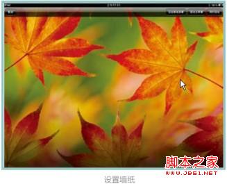 “亮度與墻紙”設置