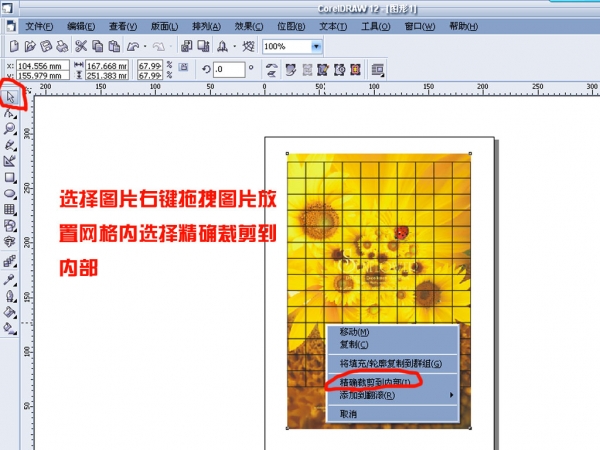 cdr任意拆分圖片或矢量圖形 武林網 cdr使用技巧