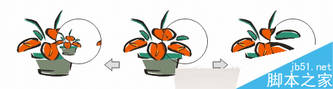 CorelDRAW 12循序漸進-透鏡效果 武林網 CorelDraw入門教程