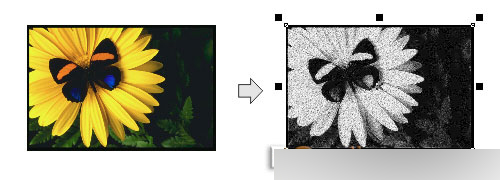 CorelDRAW 12循序漸進-應用濾鏡 武林網 CorelDraw入門教程