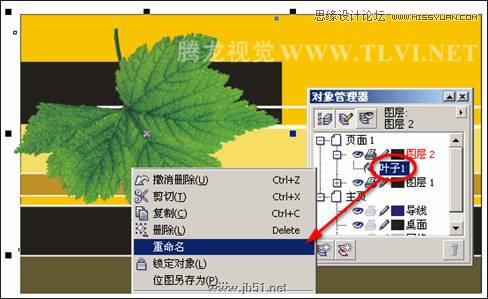 CorelDRAW設計環保宣傳海報教程,PS教程,思緣教程網