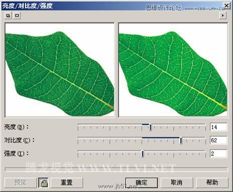 CorelDRAW設計環保宣傳海報教程,PS教程,思緣教程網