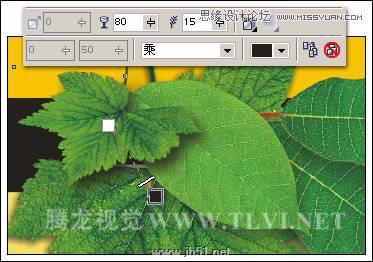 CorelDRAW設計環保宣傳海報教程,PS教程,思緣教程網