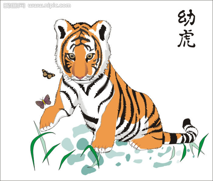 CDR繪制可愛的幼虎 武林網 CDR實例教程