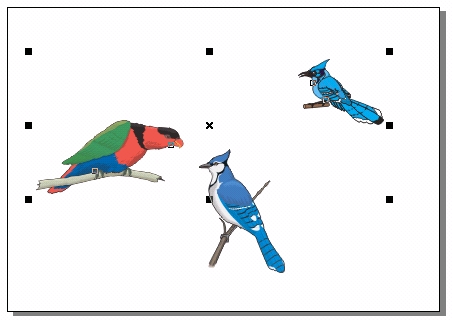 CorelDRAW 選取及填充對象 武林網 CorelDraw入門教程