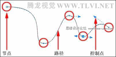 在CorelDRAW中的對象概述與選擇對象,破洛洛