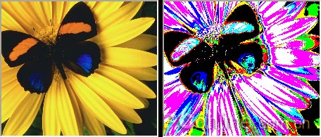 CorelDRAW 12循序漸進-應用濾鏡 武林網 CorelDraw入門教程