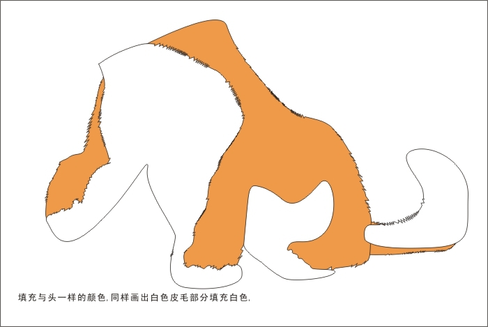 CDR繪制可愛的幼虎 武林網 CDR實例教程