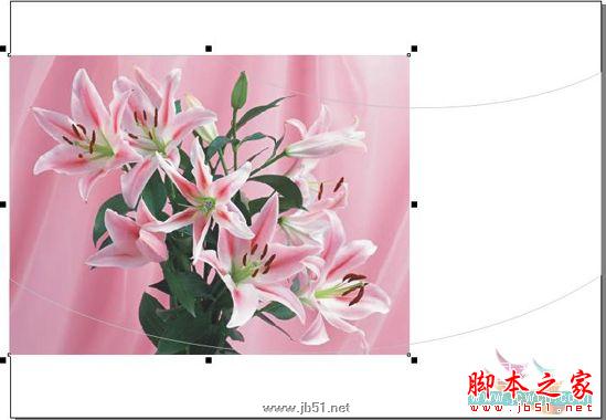 CorelDRAW教程：育兒教育招生廣告的制作_中國教程網