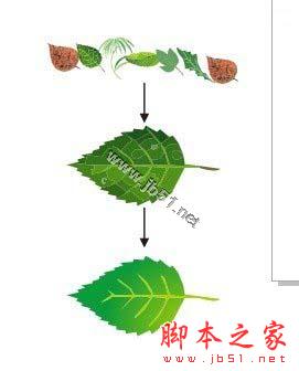 CorelDRAW解析網狀填充運用教程,CDR教程