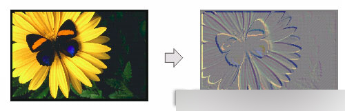 CorelDRAW 12循序漸進-應用濾鏡 武林網 CorelDraw入門教程