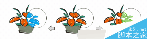 CorelDRAW 12循序漸進-透鏡效果 武林網 CorelDraw入門教程