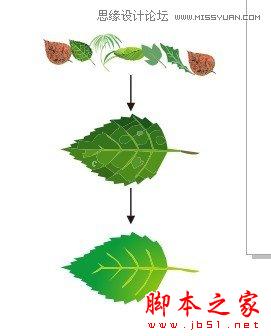 CorelDRAW解析網狀填充運用教程,武林網