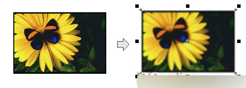 CorelDRAW 12循序漸進-應用濾鏡 武林網 CorelDraw入門教程