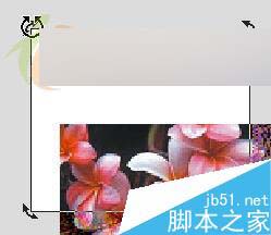 CorelDRAW X3新功能體驗：裁切工具 武林網 CorelDraw入門教程