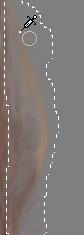 corel knockout摳圖實例指南(6) 武林網 CorelDraw使用技巧教程
