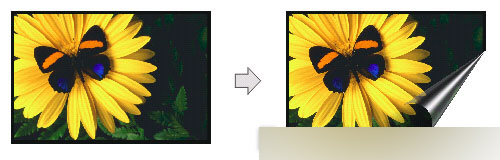 CorelDRAW 12循序漸進-應用濾鏡 武林網 CorelDraw入門教程