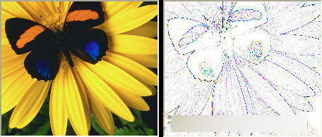CorelDRAW 12循序漸進-應用濾鏡 武林網 CorelDraw入門教程