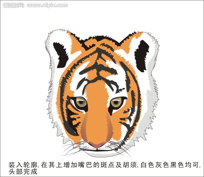 CDR繪制可愛的幼虎 武林網 CDR實例教程
