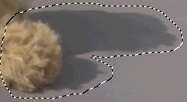 corel knockout摳圖實例指南(4) 武林網 CorelDraw使用技巧教程