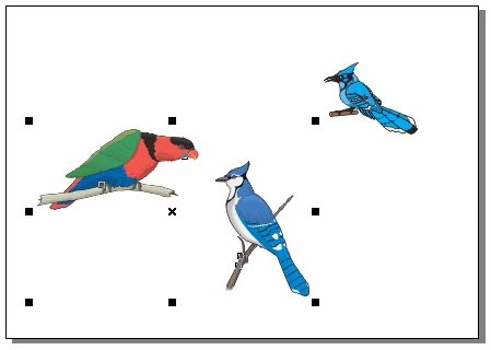 CorelDRAW 選取及填充對象 武林網 CorelDraw入門教程