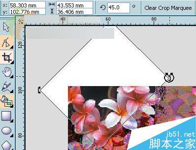 CorelDRAW X3新功能體驗：裁切工具 武林網 CorelDraw入門教程