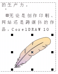 放大此圖