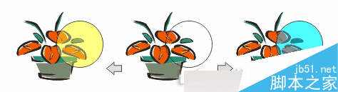 CorelDRAW 12循序漸進-透鏡效果 武林網 CorelDraw入門教程