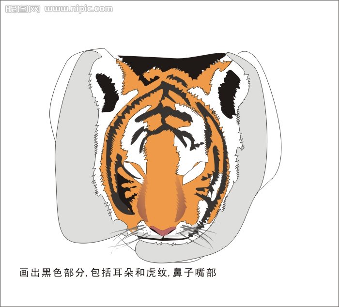 CDR繪制可愛的幼虎 武林網 CDR實例教程