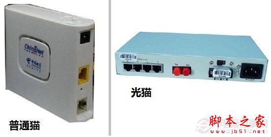 普通貓與光貓外觀對比