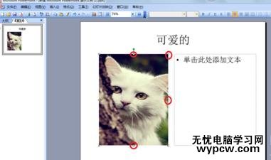 ppt2013怎么設置文字環繞效果