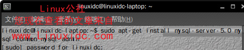 Ubuntu 9.10下搭建LAMP服務器完全圖解教程