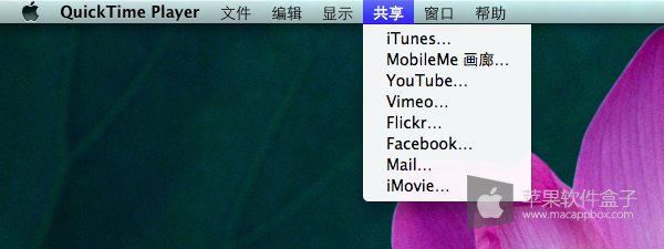 通過多種途徑分享視頻