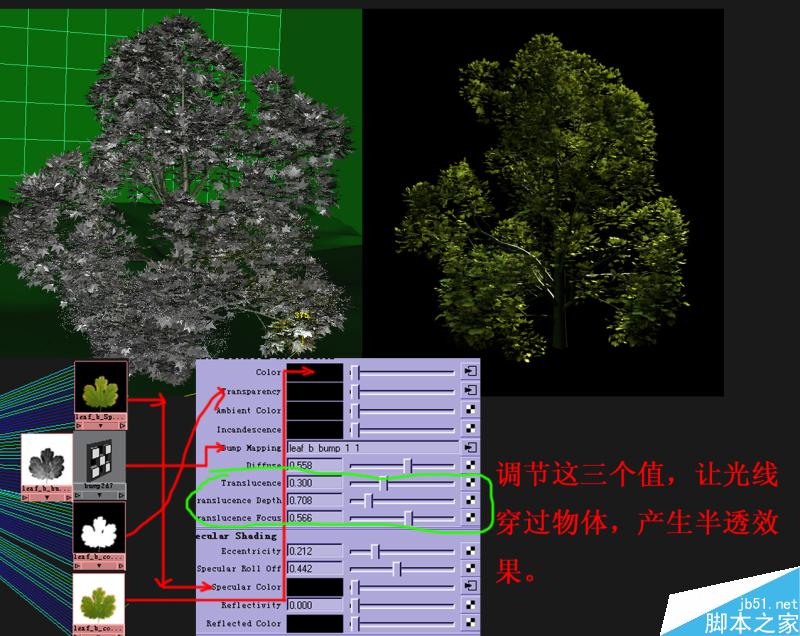 Maya打造真實熱帶雨林 武林網 MAYA材質燈光