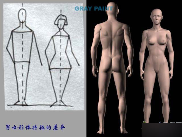 MAYA人物建模教程 人物造型 武林網 MAYA建模教程
