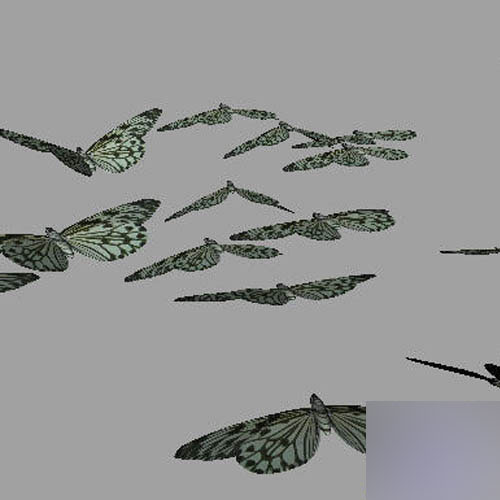 Maya2008制作一只逼真的蝴蝶 武林網