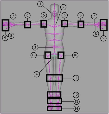 maya―fbik系統研究 武林網 maya動畫教程