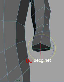 MAYA建模教程：人體軀干的建立