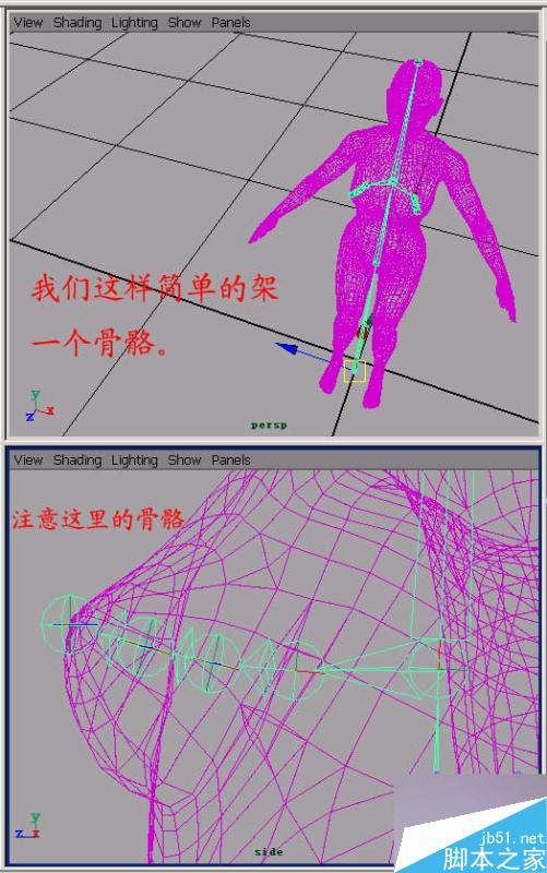 MAYA 初級柔體教程 武林網 MAYA角色動畫教程