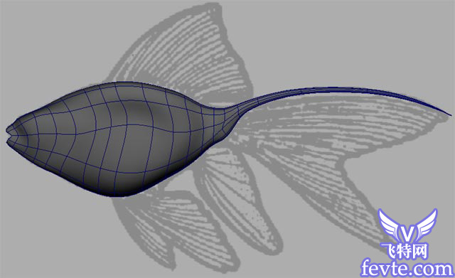 Maya 制作魚的模型 武林網 MAYA入門教程