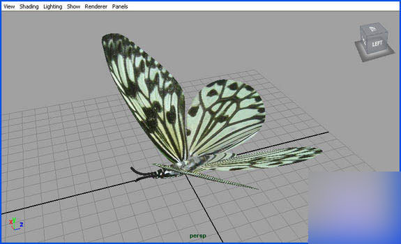 MAYA Instancers 制作蝴蝶群舞 武林網 MAYA角色動畫教程